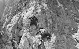 Escalada als Pirineus Escalada als Pirineus