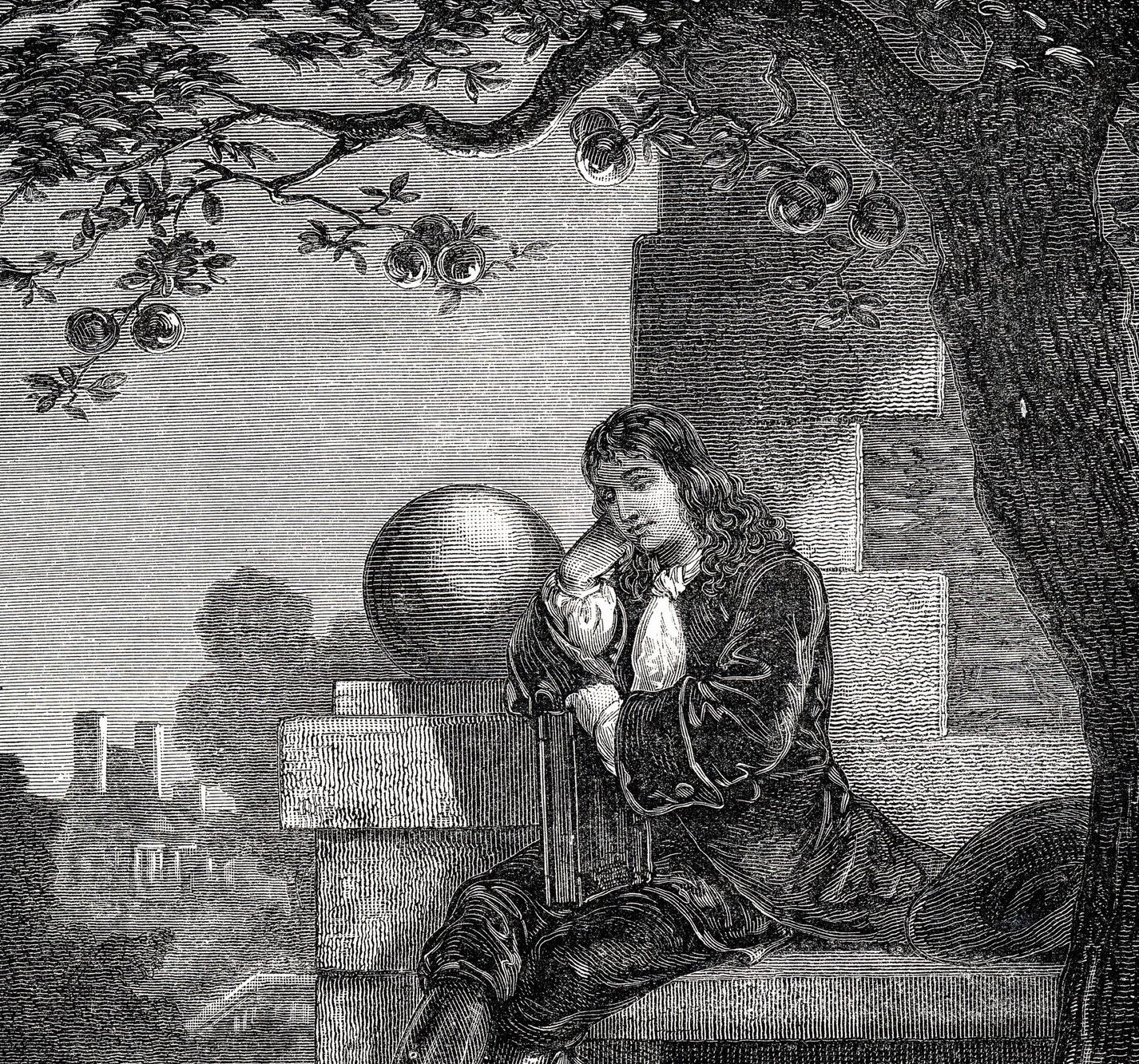 Яблоко ньютона. Яблоко ньютона. Яблоко ньютона. Яблоко ньютона. На ньютона упало яблоко.