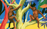 Evolució. (I·lustració del número 14 del Petit SÀPIENS) Evolució. (I·lustració del número 14 del Petit SÀPIENS)