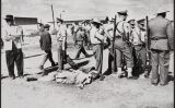 Una imatge de la massacre de Sharpeville Una imatge de la massacre de Sharpeville