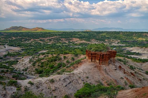La gorja d'Olduvai