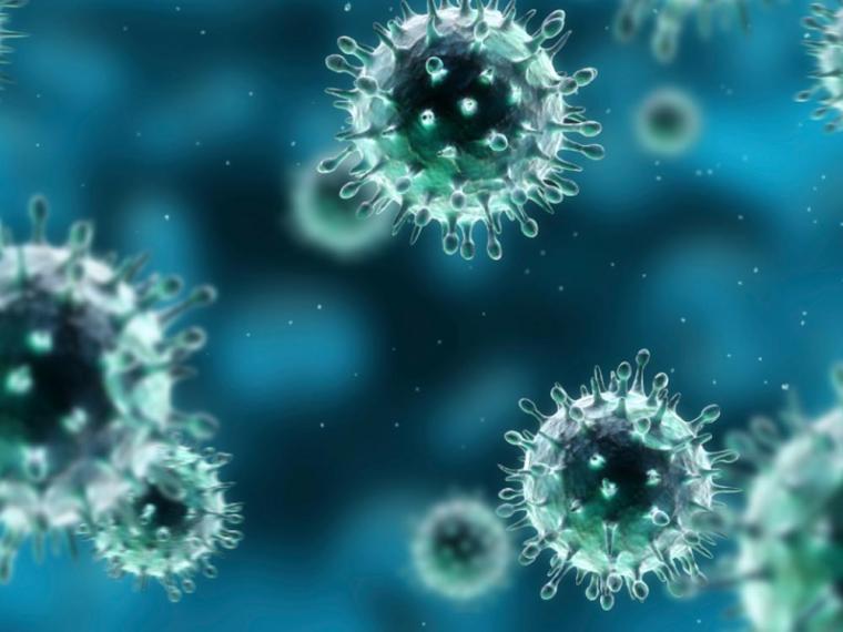 VIRUS