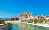Palma Palma