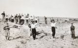 Milicans republicans capturats per soldats franquistes a Somosierra durant la batalla de Guadarrama el 1936 Milicans republicans capturats per soldats franquistes a Somosierra durant la batalla de Guadarrama el 1936