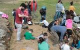 Activitat 'Fes d'arqueòleg', a Ullastret Activitat 'Fes d'arqueòleg', a Ullastret