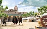 Recreació històrica durant una edició anterior de la Festa de la Revolta dels Segadors de Santa Coloma de Farners Recreació històrica durant una edició anterior de la Festa de la Revolta dels Segadors de Santa Coloma de Farners