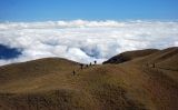El mont Pulag, la muntanya més alta de l'illa de Luzon (les Filipines) El mont Pulag, la muntanya més alta de l'illa de Luzon (les Filipines)