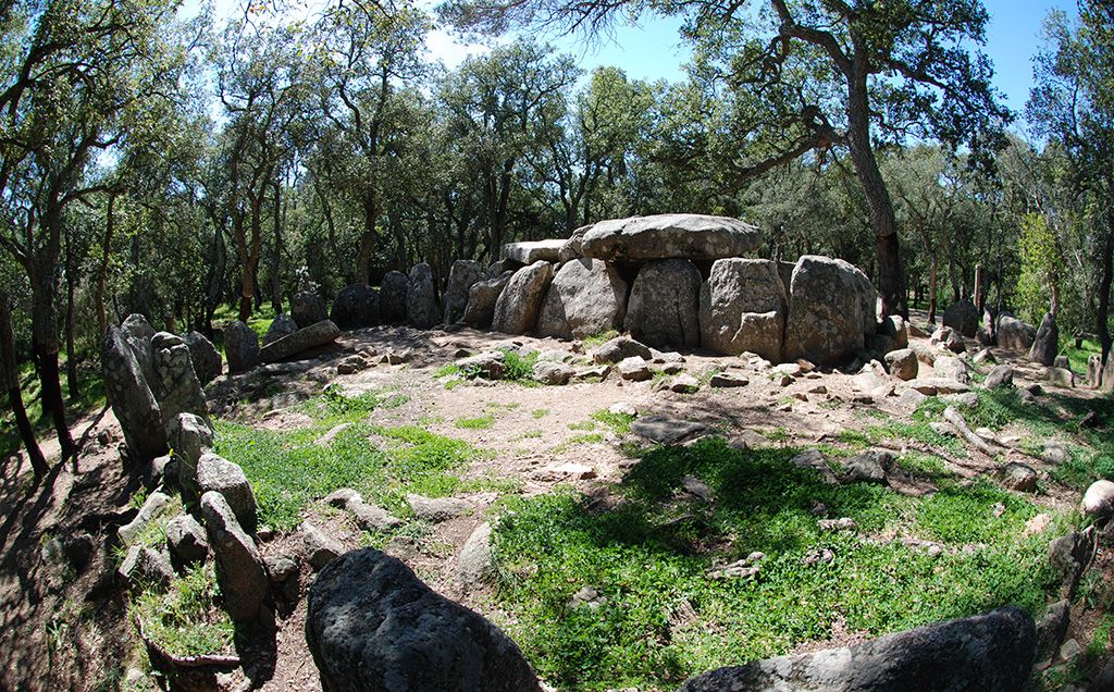 El dolmen de la Cova d'en Daina, a Santa Cristina d'Aro