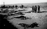Imatge de gener del 1922 en què encara es veuen al terra cadàvers de la batalla d'Annual