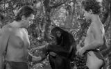 Fotograma de la pel·lícula 'El triomf de Tarzan' (1943) Fotograma de la pel·lícula 'El triomf de Tarzan' (1943)