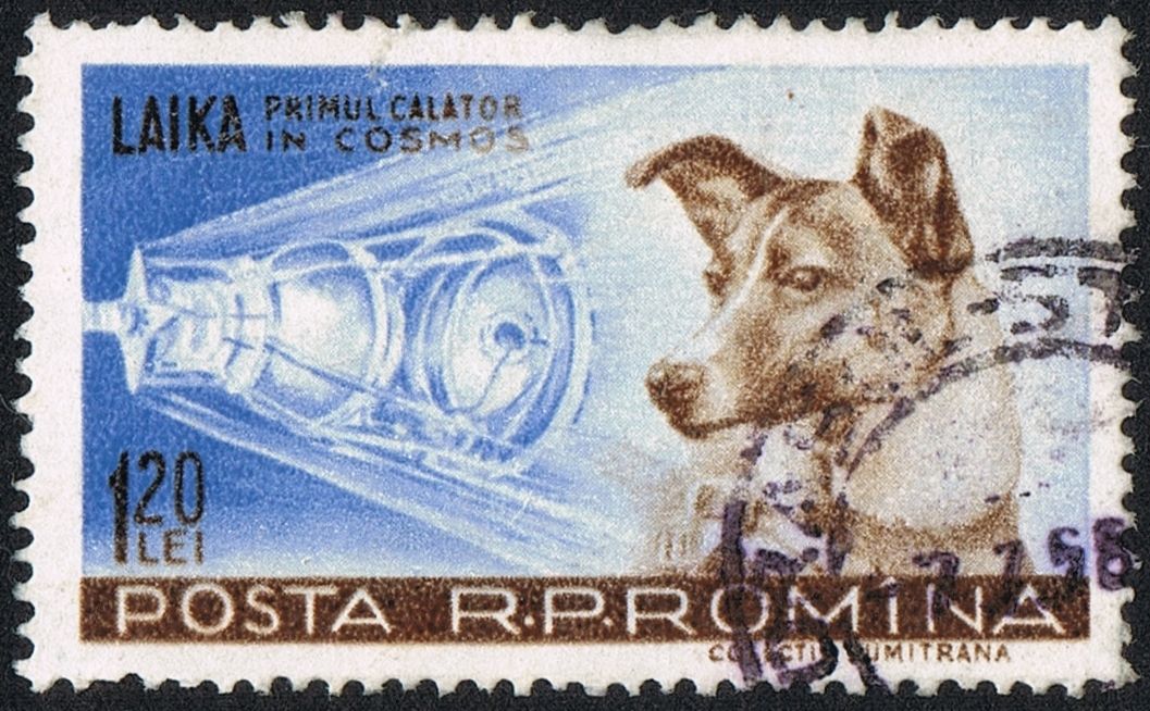 Segell romanès del 1957 amb la gossa Laika