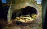 L'esquelet del taller 'Ossos CSI' que la redacció del SÀPIENS vam fer al Museu d'Arqueologia de Catalunya