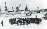 Imatge del port de Barcelona el 1963, amb un grup de mules i matxos preparats per ser embarcats cap a Bombai