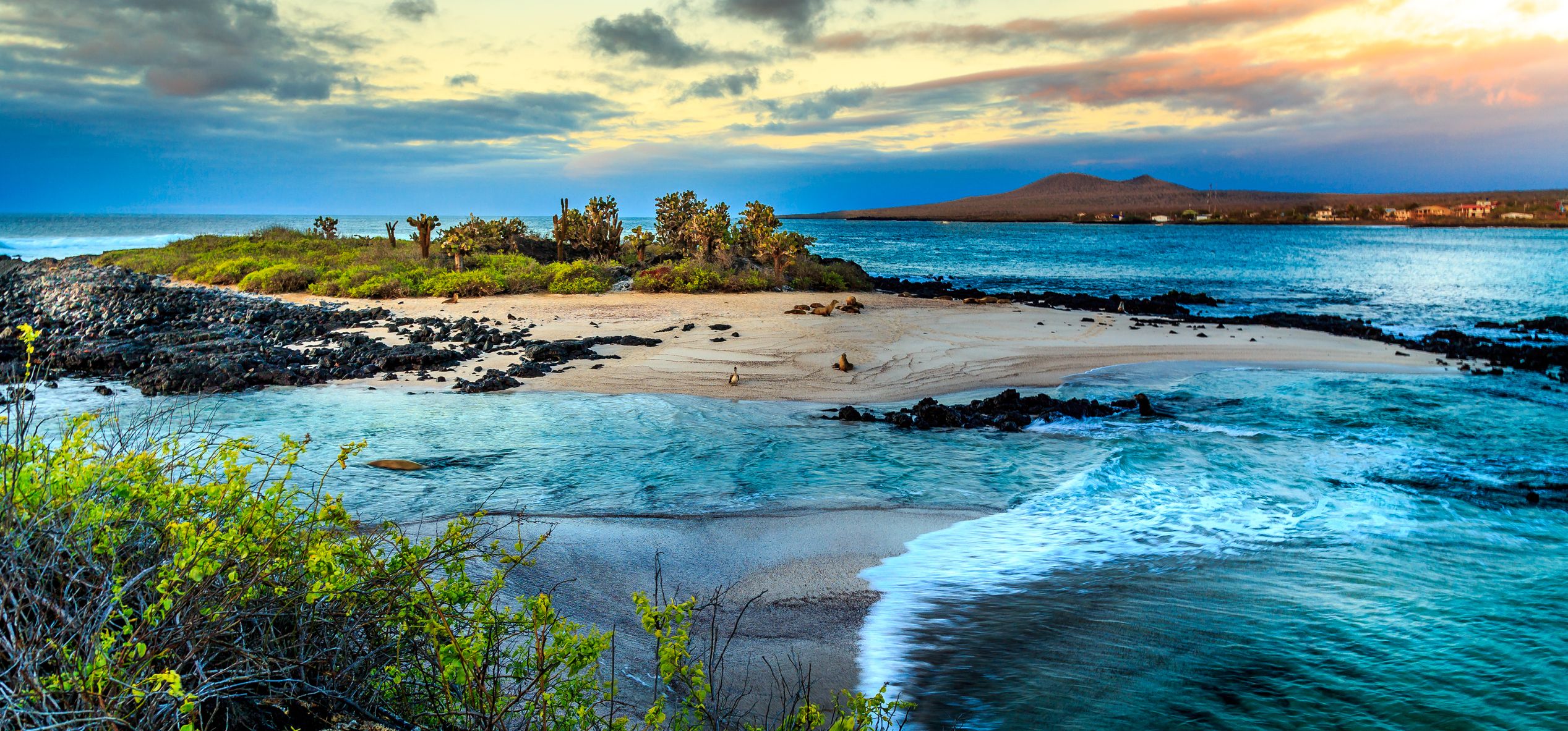 Les Galápagos