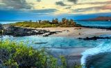 Les Galápagos Les Galápagos