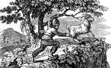 Il·lustració d'Alexander Selkirk caçant una cabra a l'illa deserta de Más a Tierra publicada a l'obra 'The life and adventures of Alexander Selkirk, the real Robinson Crusoe: a narrative founded on facts'