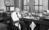 Alexander Fleming treballant al seu laboratori de l'hospital Saint Mary de Londres durant la Segona Guerra Mundial Alexander Fleming treballant al seu laboratori de l'hospital Saint Mary de Londres durant la Segona Guerra Mundial