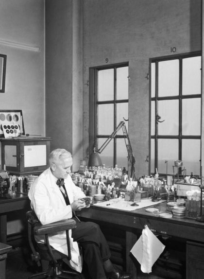 Alexander Fleming treballant al seu laboratori de l'hospital Saint Mary de Londres durant la Segona Guerra Mundial Alexander Fleming treballant al seu laboratori de l'hospital Saint Mary de Londres durant la Segona Guerra Mundial