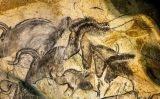 Els cavalls de la cova de Chauvet Els cavalls de la cova de Chauvet