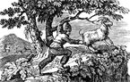 autenticrobinsoncrusoe