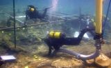 Arqueòlegs del CASC treballant a sota l'aigua