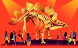 Petit 31 Dinosaures Petit 31 Dinosaures