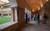 Visita guiada al claustre del monestir de Sant Cugat Visita guiada al claustre del monestir de Sant Cugat