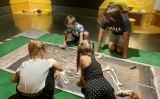 'El solsonià. Viure i morir al neolític mitjà' es pot visitar fins al 28 de febrer de 2021 al Museu Diocesà i Comarcal de Solsona 'El solsonià. Viure i morir al neolític mitjà' es pot visitar fins al 28 de febrer de 2021 al Museu Diocesà i Comarcal de Solsona