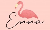 El Projecte Emma impulsa un estudi sobre el càncer de mama El Projecte Emma impulsa un estudi sobre el càncer de mama