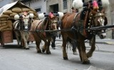 Processó dels tres tombs a Igualada (imatge del 2006) Processó dels tres tombs a Igualada (imatge del 2006)